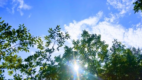 ♦♢草柳夏祭りのご案内♢♦